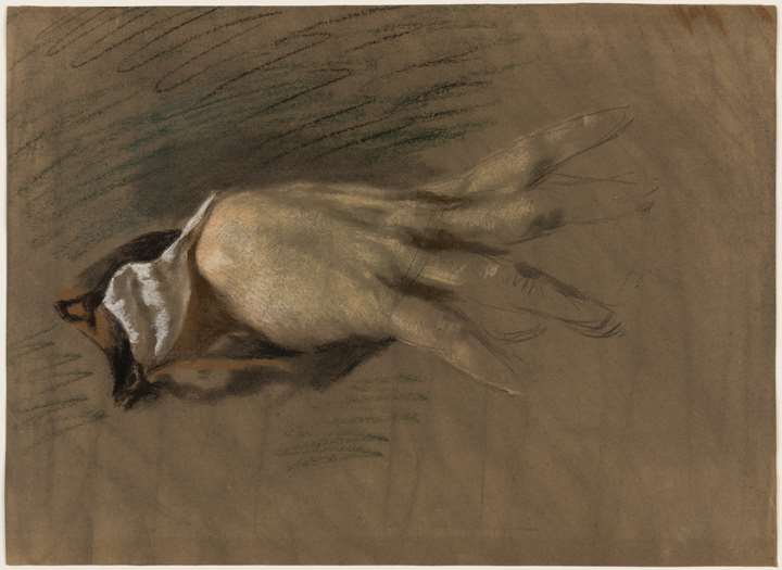 Study of a Woman’s Right Hand